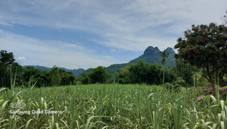 Bán đất Tân Lạc diện tích 3600m có 400m thổ cư thế đất thoải khá bằng phẳng view thoáng rộng